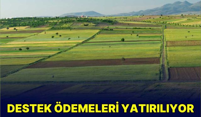 Destek ödemeleri yatırılıyor