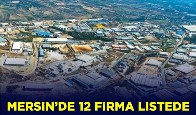 Mersin'de 12 firma listede