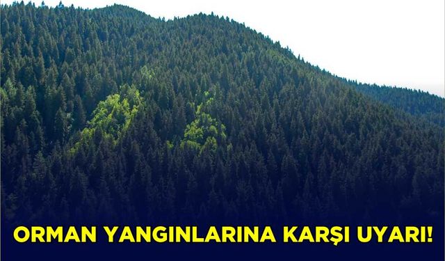 Orman yangınlarına karşı uyarı!