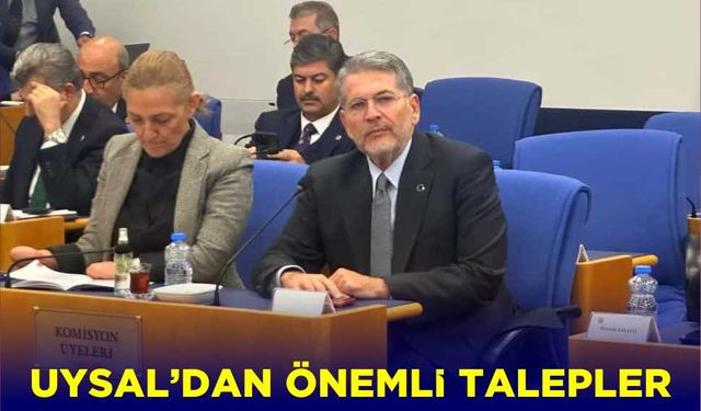 Uysal'dan önemli talepler