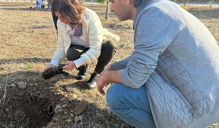 PREMATÜRE BEBEKLER ORMANI İÇİN FİDANLAR TOPRAKLA BULUŞTU