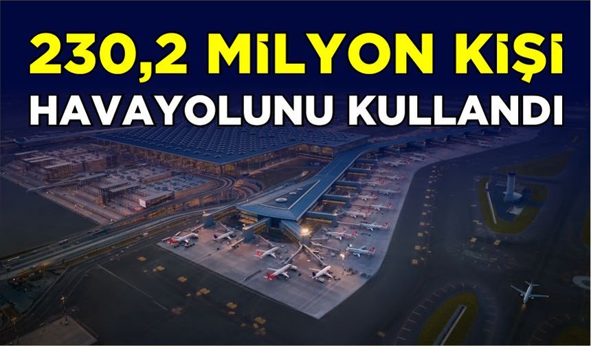 230,2 milyon kişi havayolunu kullandı