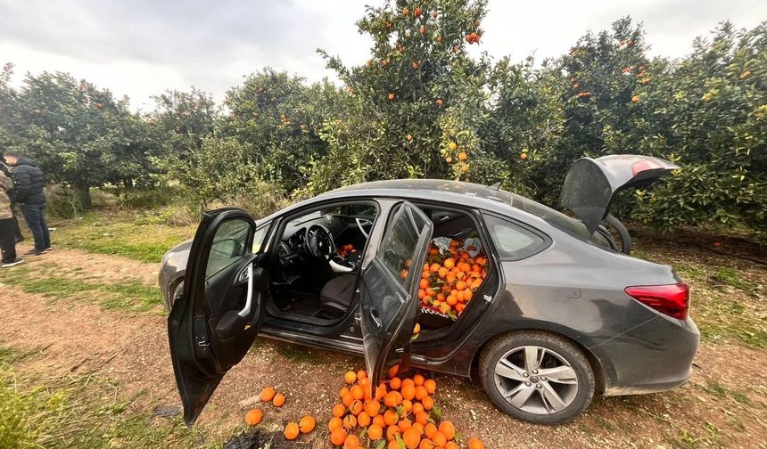 Jandarma hırsızlara geçit vermiyor