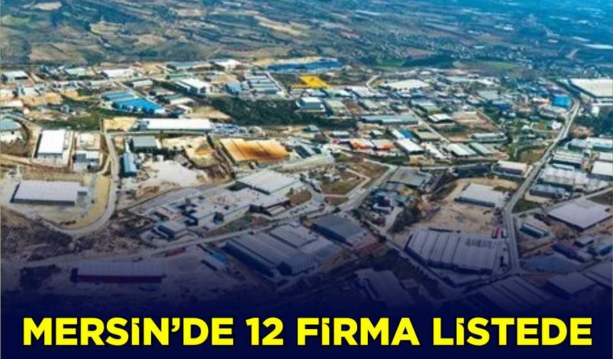 Mersin'de 12 firma listede