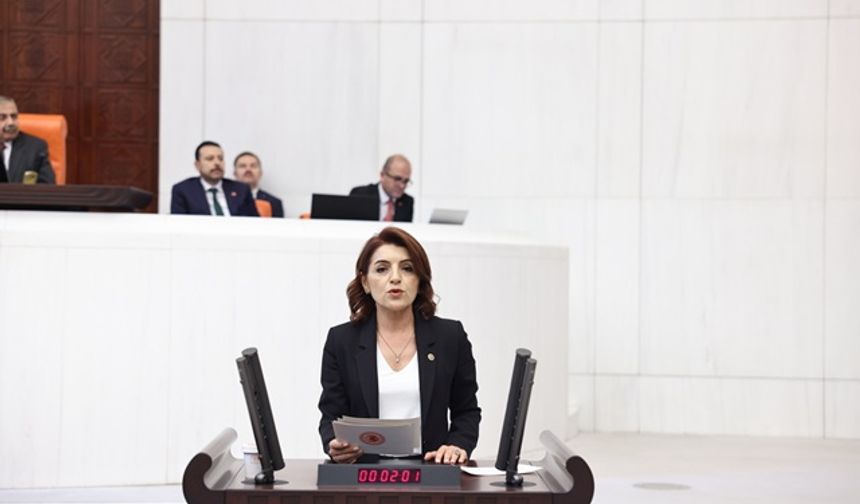 CHP’li Gülcan Kış: “Sandıkta yenemeyenler, kumpasla halkın iradesini susturmaya çalışıyor!”