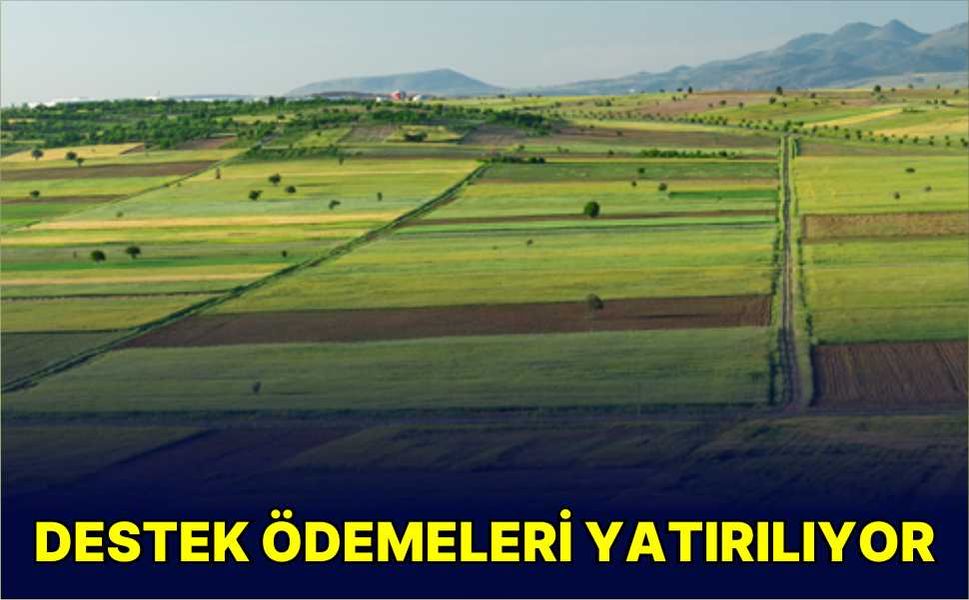 Destek ödemeleri yatırılıyor