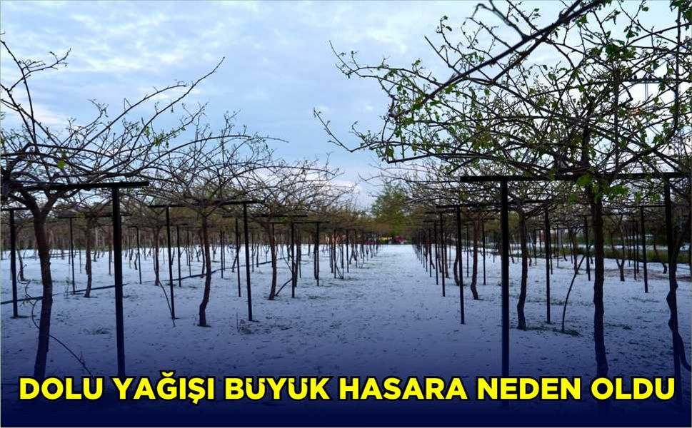 Dolu yağışı büyük hasara neden oldu