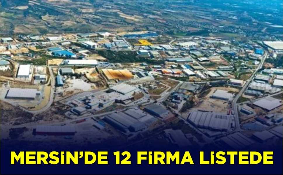 Mersin'de 12 firma listede