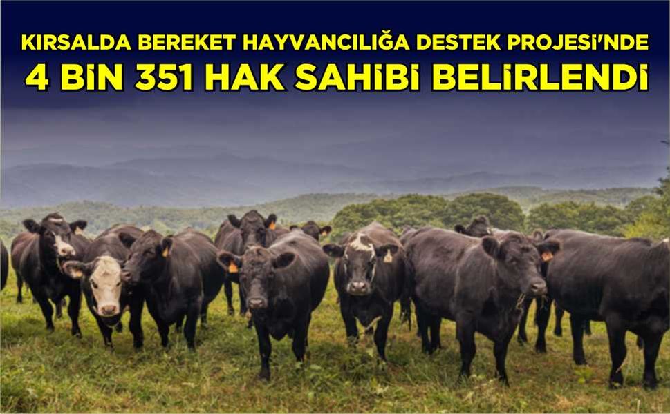 Kırsalda Bereket Hayvancılığa Destek Projesi'nde 4 bin 351 hak sahibi belirlendi